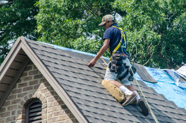 Best New Roof Installation  in Robbins, IL